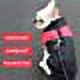 thumbnail image 5 of Abrigo de invierno para perros, chaqueta cálida, ropa para mascotas, abrigo impermeable para perros, 5 of 5