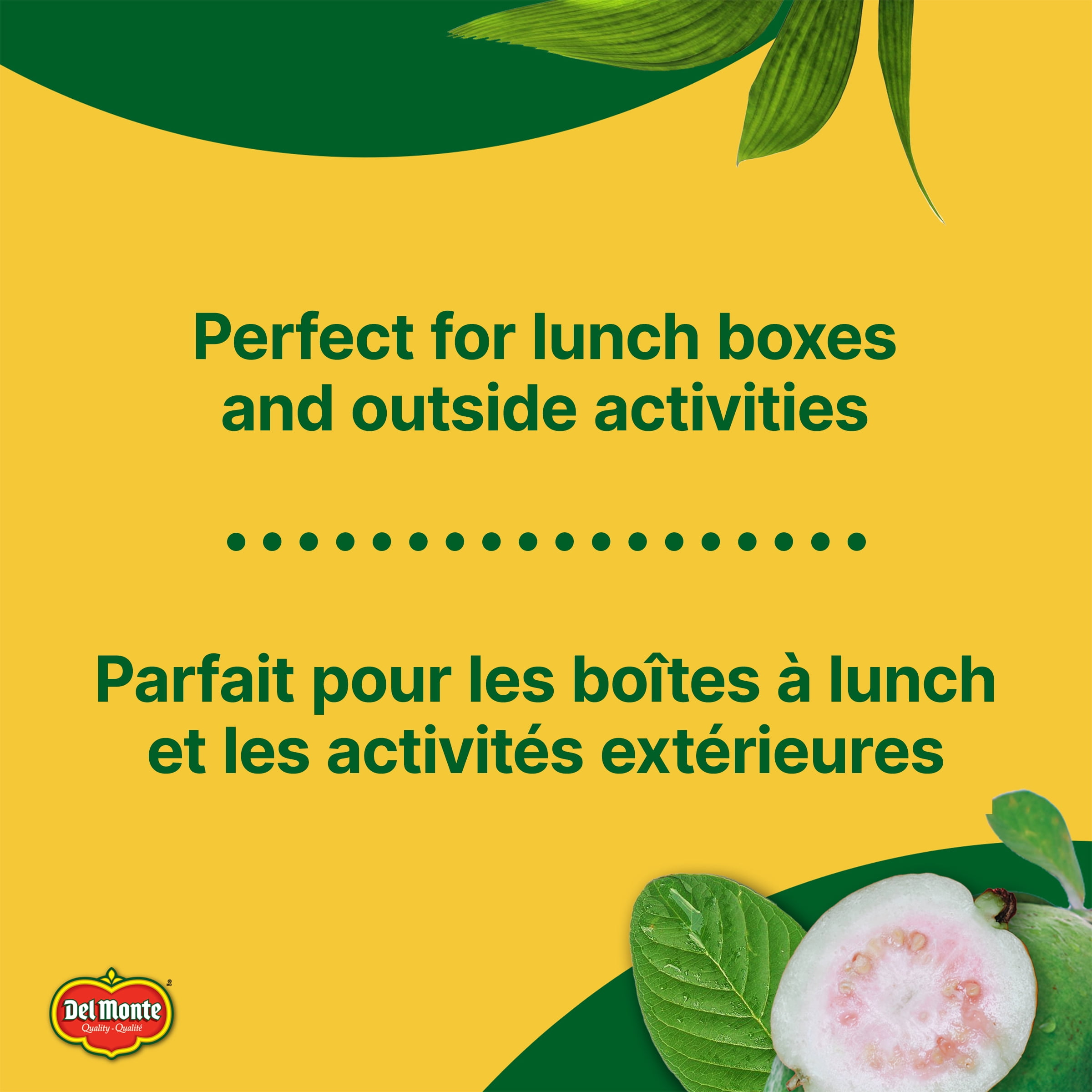 Boîtes à boire Nectar de goyave Del Monte NECTAR DE GOYAVE DEL MONTE 8X200ML