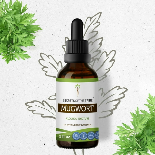 Mugwort Tincture Alcohol Extract, Organic Mugwort (Ai Ye, Artemisia