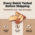 thumbnail image 5 of Raw Brazil Nuts 32 oz Batch Tested Gluten & Peanut Free No PPO Non GMO Distinct and Superior to Natural Kosher IM A NUT, 5 of 9