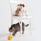 thumbnail image 5 of Pelota de juguete para mascotas que brilla intensamente Control remoto Bolas interactivas para perros y gatos (Amarillo), 5 of 7
