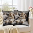 thumbnail image 6 of Uutvery Cute Rabbits Print Pillowcase, 18x18 Inch Adorable Bunny Design on Soft Fabric, Charming Decorative Cushion Cover for Sofa Bedroom, Perfect Easter and Spring Season Gift, 6 of 7