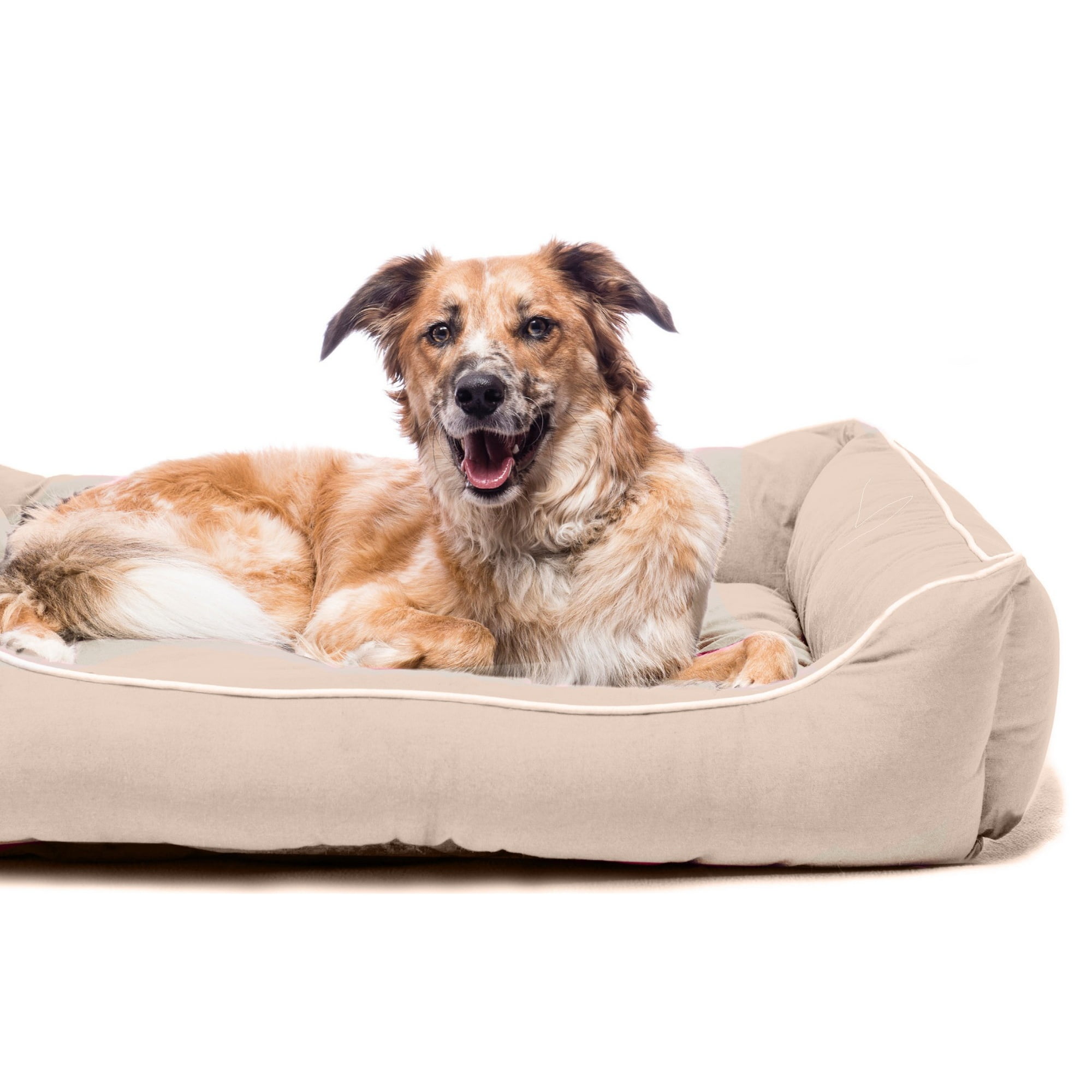 Dog Gone Smart Lounger Dog Bed Walmart Canada