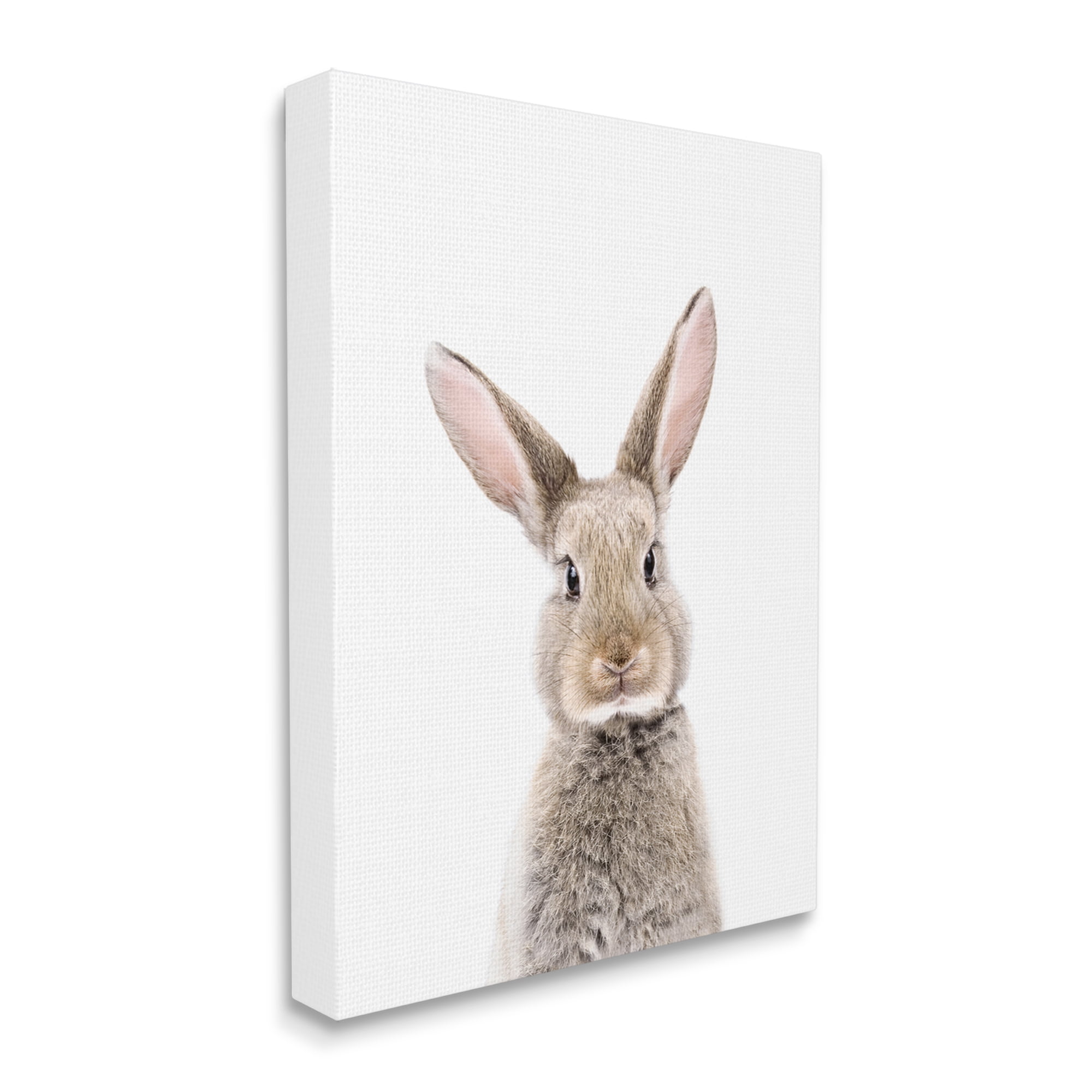 Stupell Industries Rabbit Face Portrait Animals & Insects Painting Gallery Wrapped Canvas Print Wall Art, 36 x 48