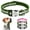 Green, variant on Pet Artist Reflective Personalized Dog Collar Custom Name Phone Number Address Customized Engraved