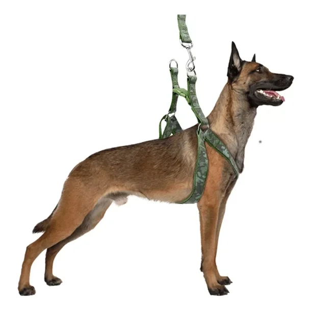 Set Arnés Y Correa Para Perros Grandes Resistente 2.5mts Dog