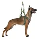 thumbnail image 1 of Set Arnés Y Correa Para Perros Grandes Resistente 2.5mts Dog, 1 of 8