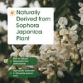thumbnail image 2 of NatureBell Quercetin 500mg - 300 Capsules - Ultra Strength Supplement for Healthy Immune Support - Quercetin Dihydrate from Sophora Japonica - Bioavailable Form - 150 Servings, 2 of 8