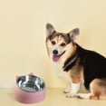 thumbnail image 5 of Cuenco de acero inoxidable para gatos y perros, con protección para las vértebras cervicales y boca oblicua, cuenco para comida para mascotas., 5 of 5