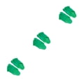 thumbnail image 4 of Qarigey Zapatillas divertidas de PVC para pies descalzos, zapatos para niños, mujeres y hombres, adultos, verde Type1 NO1, 4 of 6