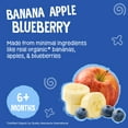 thumbnail image 4 of (4 pack) Earth's Best Organic Stage 2 Baby Food, Banana Apple Blueberry Fruit Puree, 3.5 oz Pouch, 4 of 13