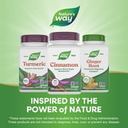 Natures Way Cinnamon Premium Extract Capsules, Supports Blood Sugar Metabolism*, Unisex, 120ct