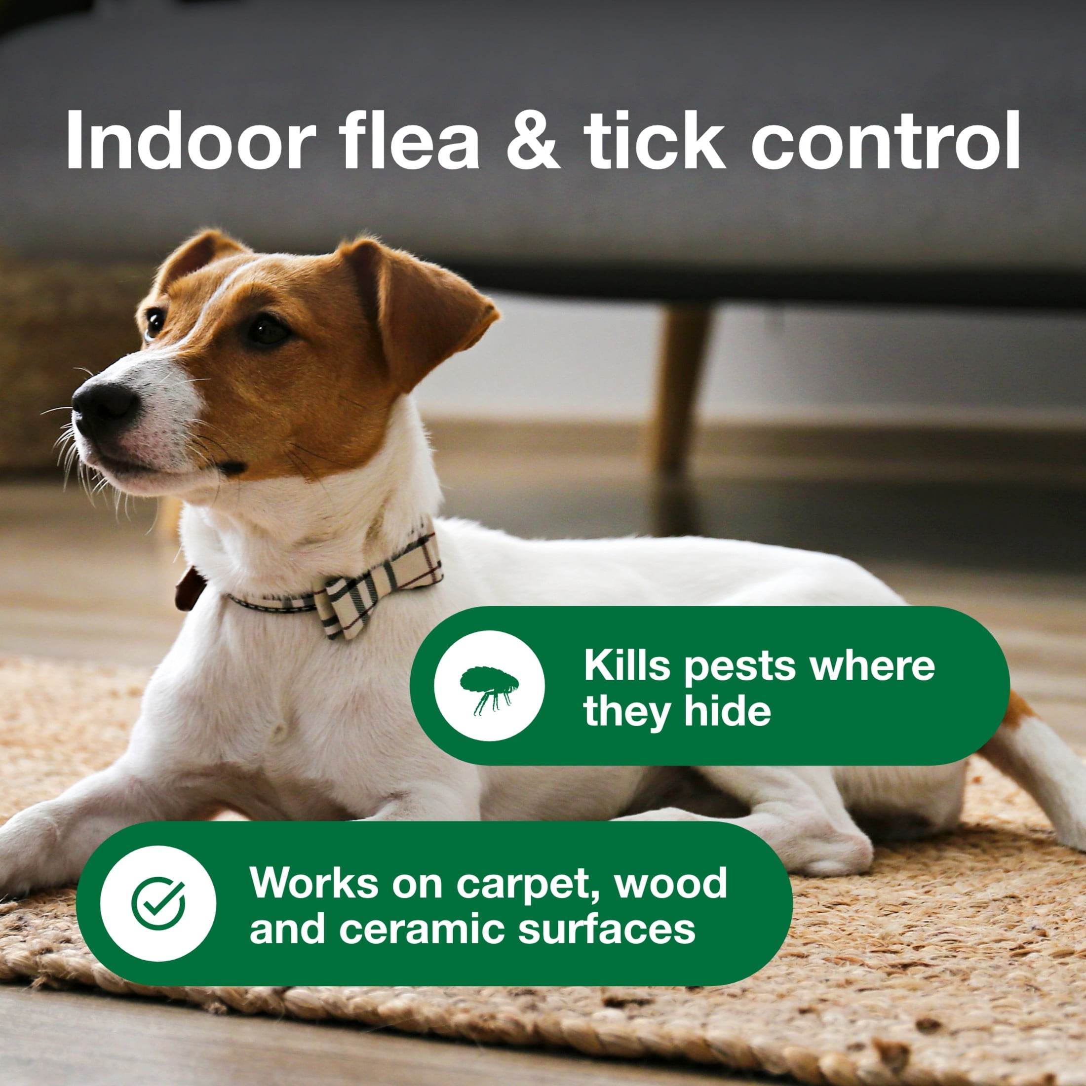 Advantage Carpet & Upholstery Spot Spray, Kills Fleas & Ticks & Bedbugs, 16 oz.