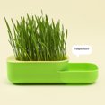 thumbnail image 4 of CBFFDC Simple And Practical Grass Box Grass Box Double layer Design Compartment Planting Box Easy to Use Scientific Partitioning Home Plant Box, 4 of 7