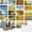 Four Seasons, variant on Best Paper Postcards 40 Pack Nature Bulk, Blank Travel Postcards for Mailing, 20 Assorted Scenic Photos, Four Seasons (4x6 In)