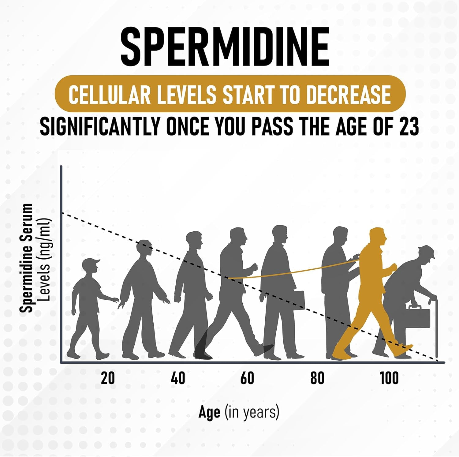 Shrink Spermidine Supplements - 120 Vegan Caps, Natural Anti-Aging Support