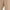 New Khaki, variant on Woman Within Women's Plus Size Petite 7-Day Knit Wide-Leg Pant