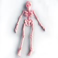 thumbnail image 2 of XGFHYJEH Halloween Decor, Halloween Decorations, Halloween Decorations Indoor, Halloween Decor Indoor, Hallowen Skeleton, 2 of 4