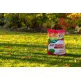 thumbnail image 3 of Scotts Turf Builder Fall Lawn Food - 5.2kg, 3 of 6