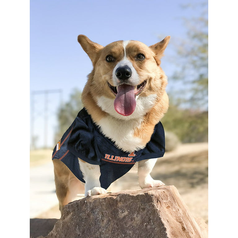 Pets First Collegiate Illinois Fighting Illini Football/Basketball Mesh  Jersey for Pet Dog. available in 40+ Teams - XX-Large