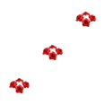 thumbnail image 2 of Guardoinrt 50pcs / Ensemble de Superbes Bouquets avec une Texture Douce et une Apparence Réaliste d'Aspect Naturel Application Large Fibre DIY Rouge 4.5cm 3Set, 2 of 6