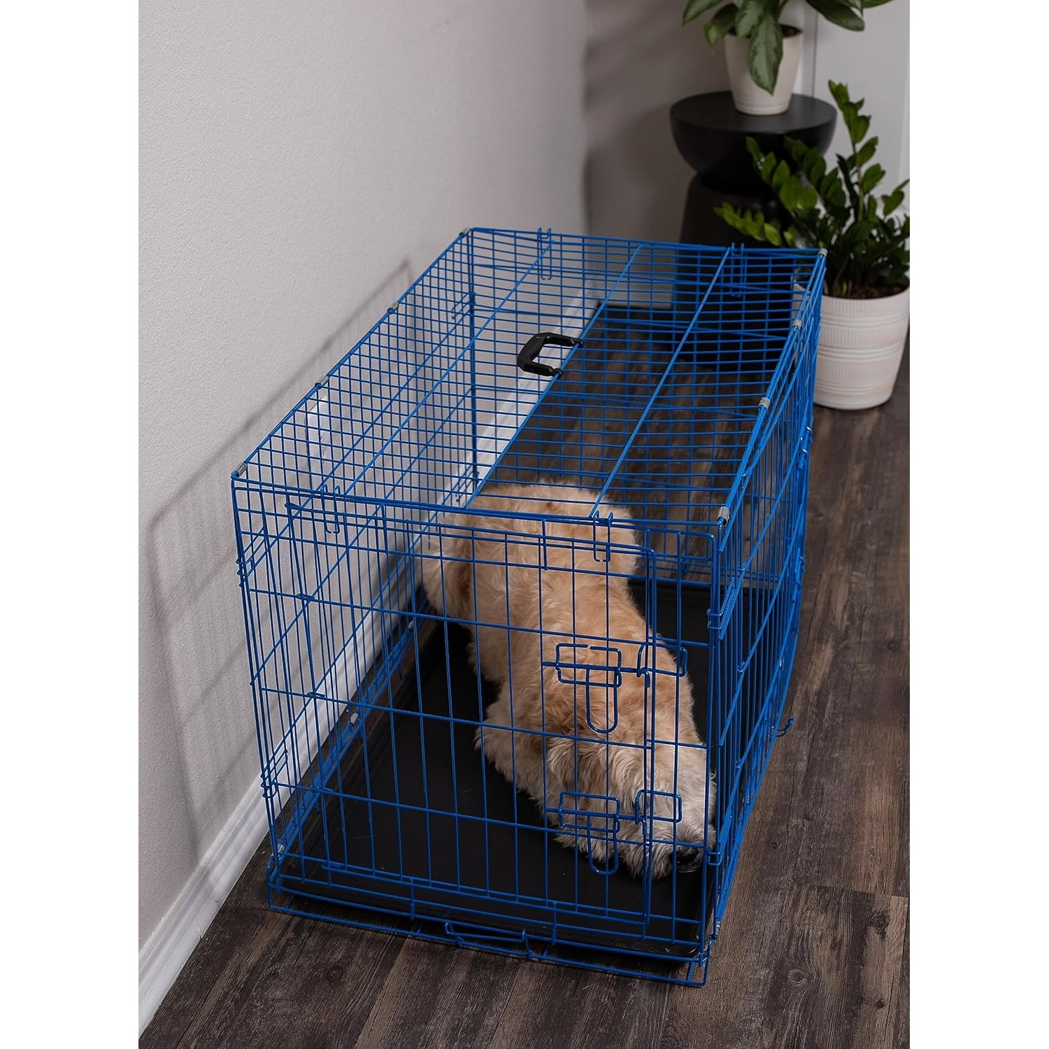 Dog Kennel | Medium (36 Inches) | Double Door Metal Steel Crates | Indoor Outdoor Pet Home | Folding and Collapsible Cage | Blue
