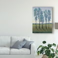 thumbnail image 3 of Trademark Fine Art 'Acreage II' Canvas Art by Tim OToole, 3 of 4