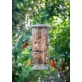 thumbnail image 2 of Richardson, Larry 18x24 Gold Ornate Wood Framed with Double Matting Museum Art Print Titled - Beautiful painted buntings-male and female on backyard feeder seen from window, 2 of 4