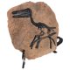 thumbnail image 5 of Simulación de fósil de dinosaurio, artesanía decorativa, adorno fósil de resina, mini fósil de dinosaurio de escritorio., 5 of 6