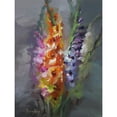 thumbnail image 3 of Rogozina, Svetlana 19x24 Black Modern Framed Museum Art Print Titled - Bouquet with Gladiolus, 3 of 5