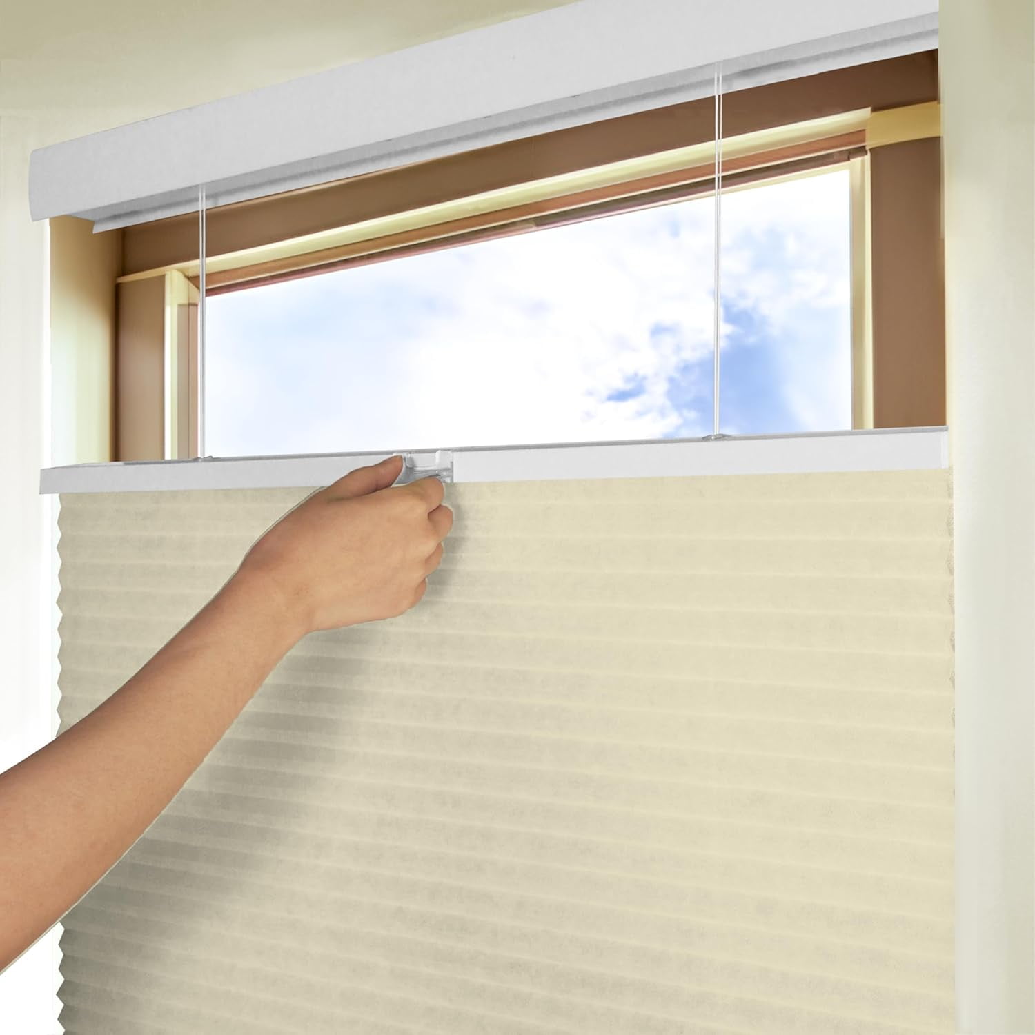 Chicology Beige Light Filtering Cordless Top Down Bottom Up Cellular Shades 19.25 in. W x 48 in. L