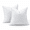 White-22x22 Inch (Pack of 2), variant on White 20x20 Inch (Pack of 2) Decorative Throw Pillow Inserts for Couch Sofa Bed Patio