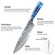 DFITO 9-Piece Kitchen Knife Set, Stainless Steel Professional Cutlery Knife with Sheaths, Storage Bag
