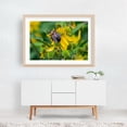 thumbnail image 5 of Pollinator Working in the Mountains of Virginia - Virginia Photography Insect Floral Nature Wildlife Botanical Garden Summer Oak Framed Wall Art Print 5 x 7 inches, 5 of 6