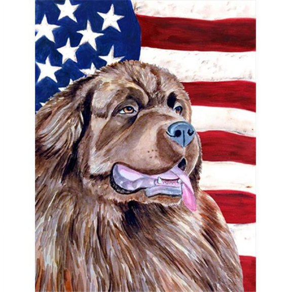 11 x 15 in. USA American Flag with Newfoundland Garden Size Flag