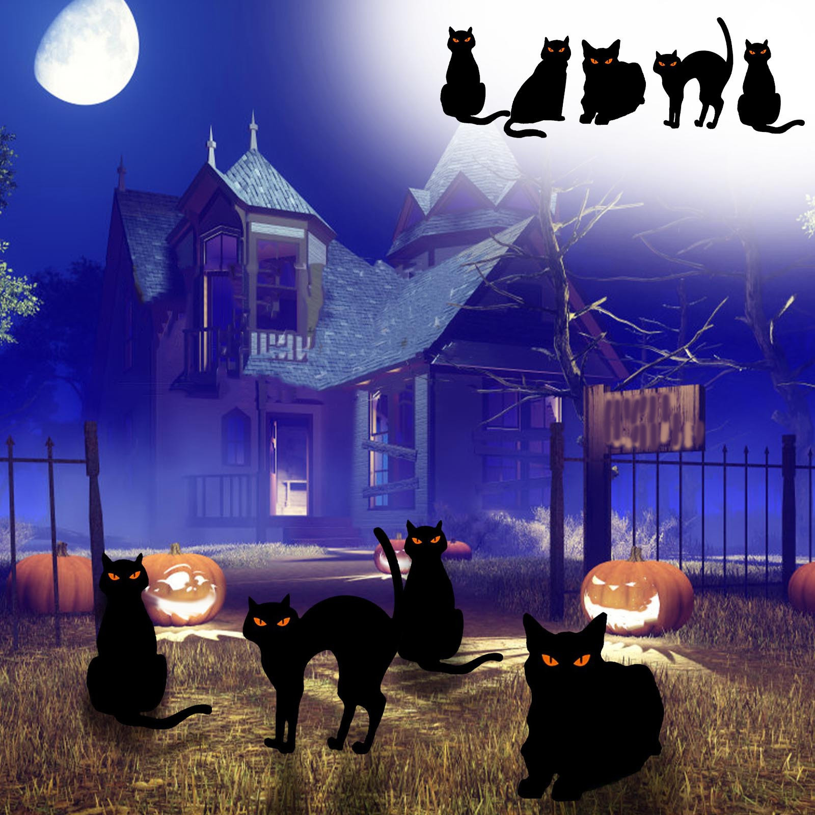 Halloween Decorations Outdoor Halloween Metal Black Cat Stakes Garden Halloween Decorations Outdoor Halloween Metal Black Cat Stakes Garden