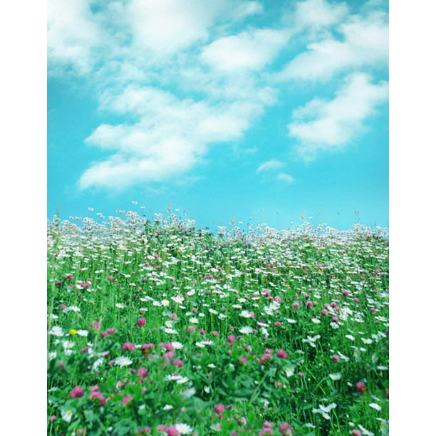 ABPHOTO Polyester 5x7ft Landscape Flowers Sky Photography Backdrops Photo  Props Studio Background 