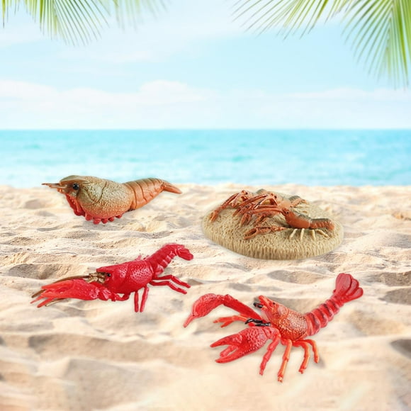 Modelo de de langosta, modelo de biología, juguete, realista, langosta, Animal marino para niños en edad preescolar, Estilo A Salvador Juego de crecimiento de animales