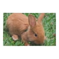thumbnail image 2 of CADecor baby bunny Non-Slip Bath Rug Bath Mat Rug Doormat 30x18 inches, 2 of 3