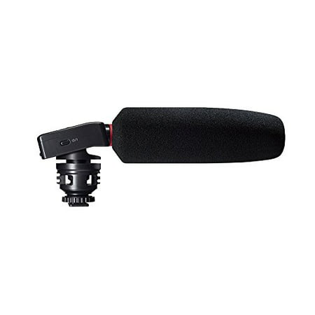Tascam DR-10SG Camera-Mountable Audio Recorder with Shotgun (Best Shotgun Mic For Gh4)