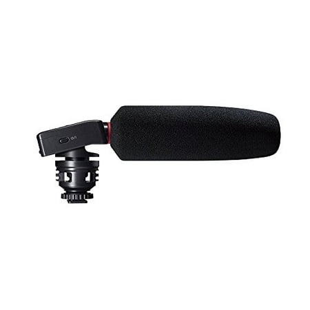 Small Shotgun Microphone - Tascam DR-10SG Camera-Mountable Audio Recorder with Shotgun Microphone
