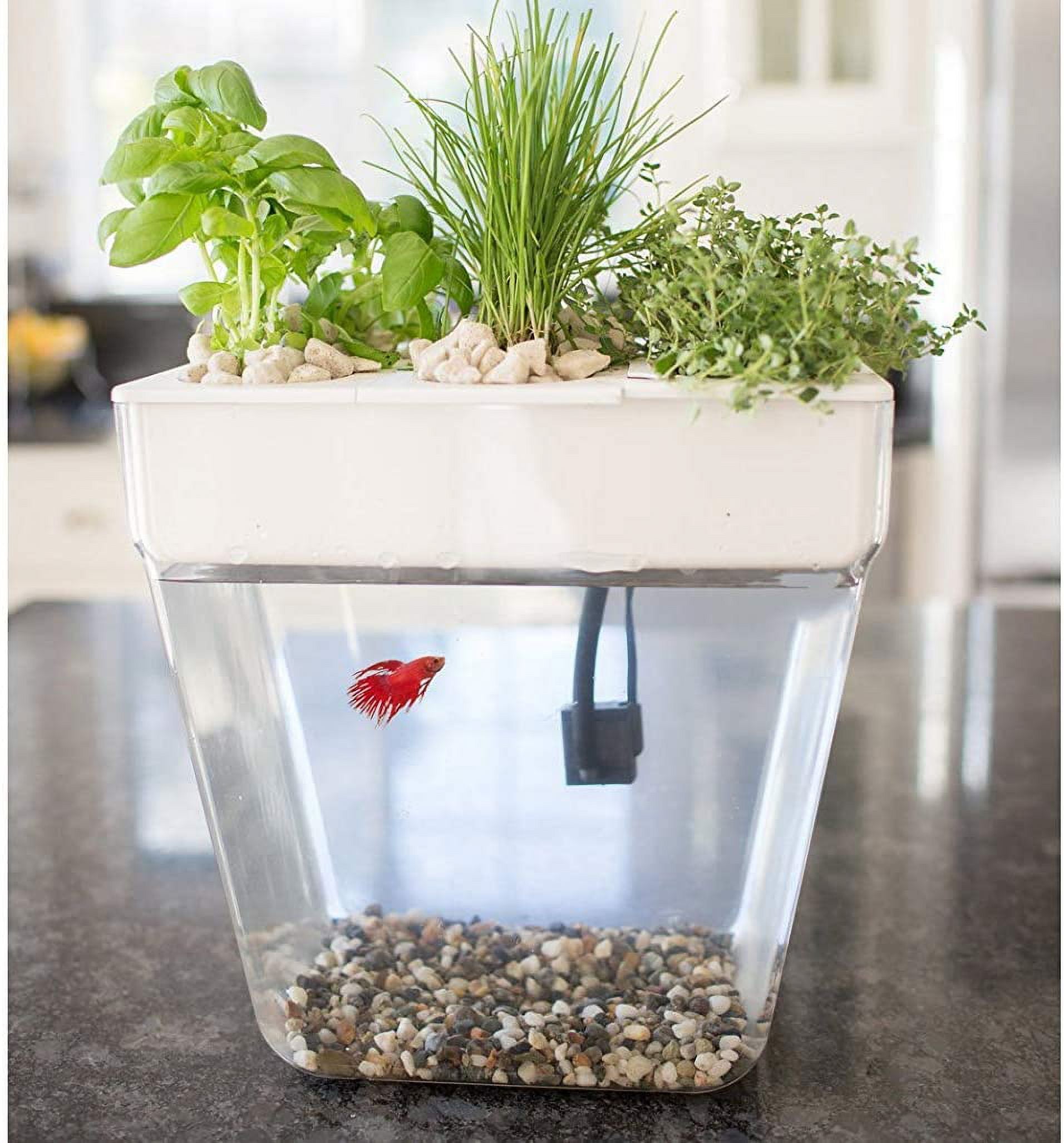 Back to the Roots 3 Gal. Self Cleaning Aquaponic Water Garden Fish Tank Aquarium
