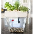 thumbnail image 2 of Back to the Roots 3 Gal. Self-Cleaning Aquaponic Water Garden Fish Tank Aquarium, 2 of 6