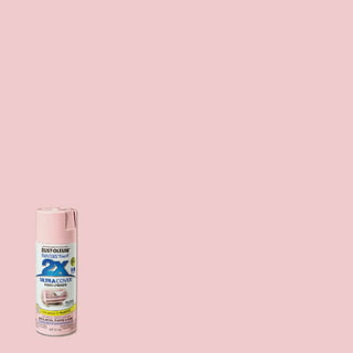 Rust-Oleum Painter's Touch 2X Ultra Cover Gloss Candy Pink Paint+Primer  Spray Paint 12 oz