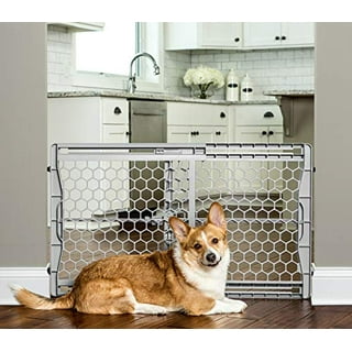 Dog gates walmart hotsell