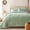 03 - Sage Green, variant on 7-Piece Queen Beige Tufted Comforter Set, All Season Bed in a Bag with Sheets & Pillowcases