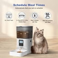 thumbnail image 2 of Comedero automático para gatos ANDOLL HOME 4 L, 8 comidas al día, 2 of 9