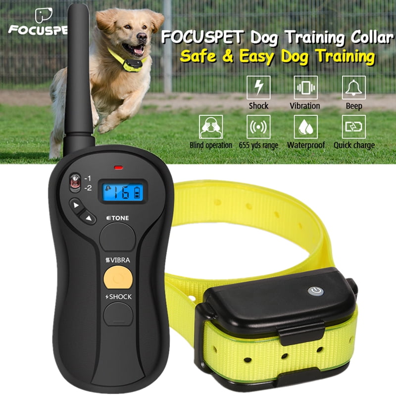 dog shock collar walmart