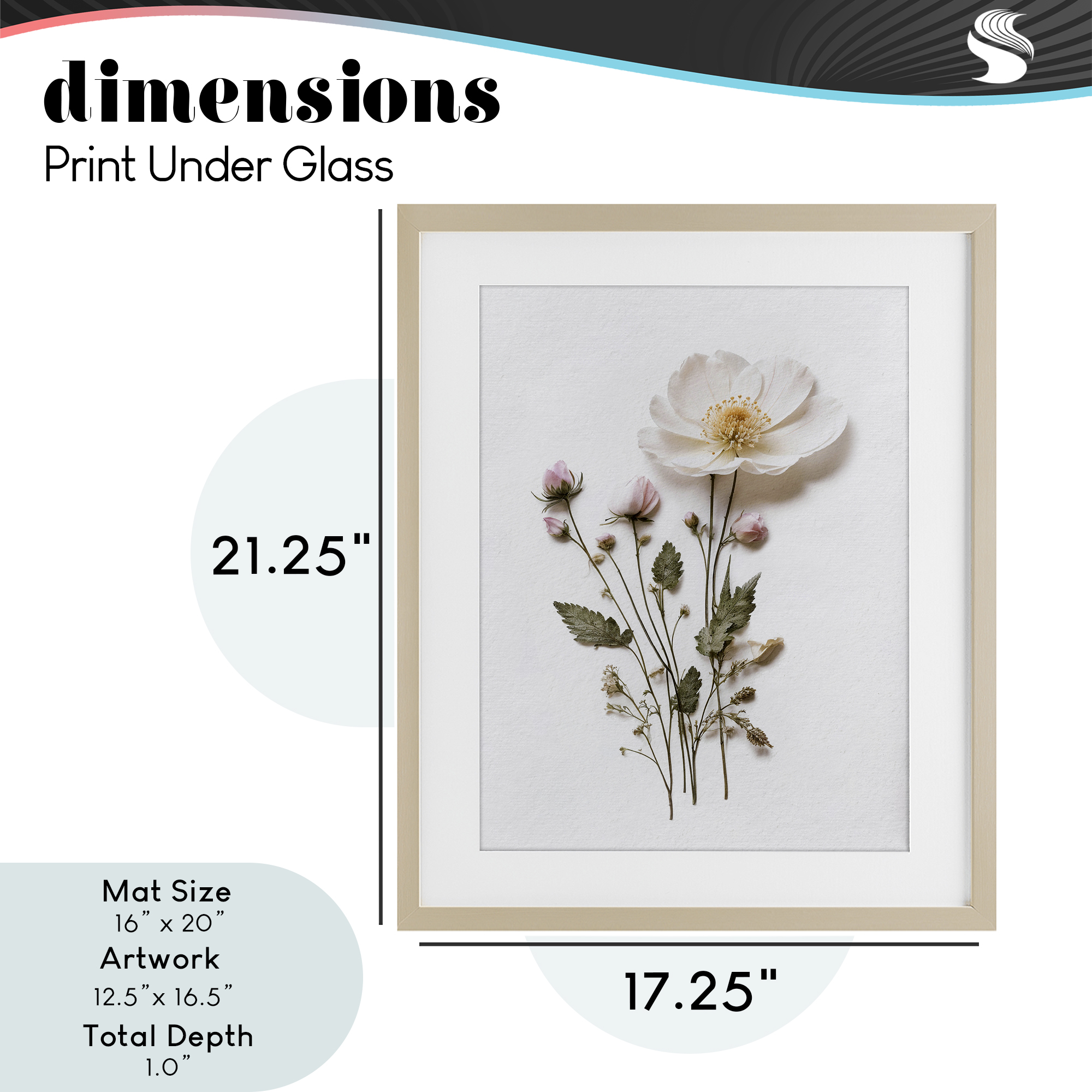 Simple Pressed Flowers Birch Framed Print Under Glass, design by Lettered and Lined