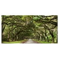 thumbnail image 2 of Design Art - Live Oak Tunnel, 2 of 3